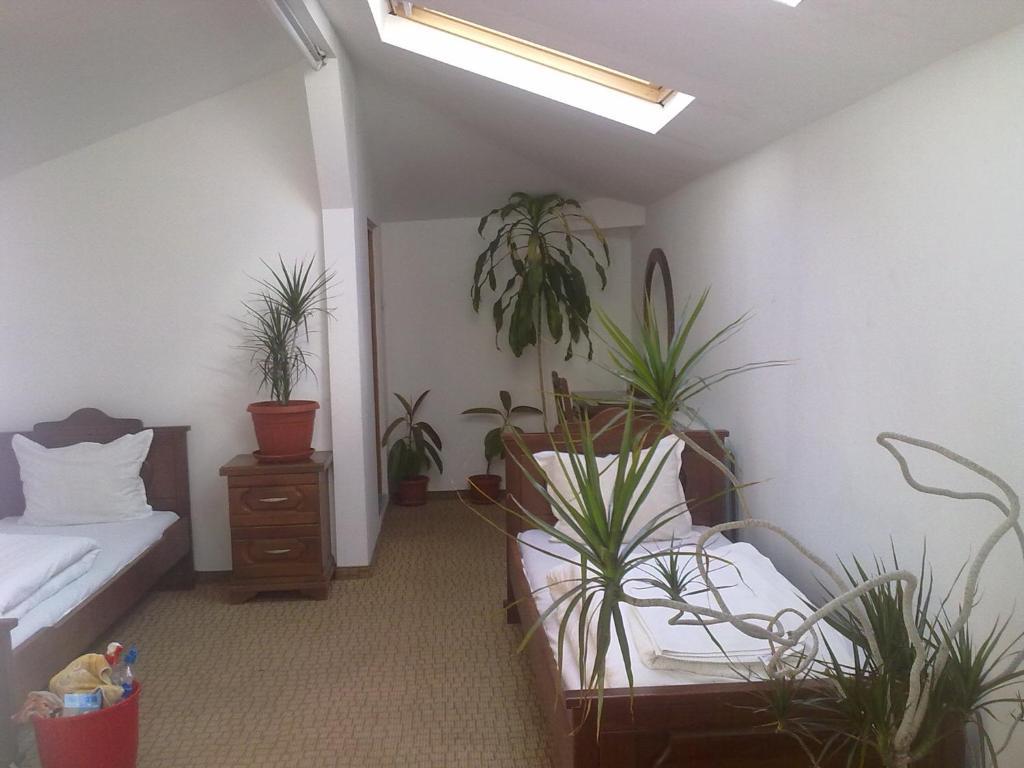 Guest House Todorini Kashti Koprivshtitsa Habitación foto